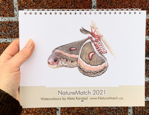 NatureMatch calendar 2021