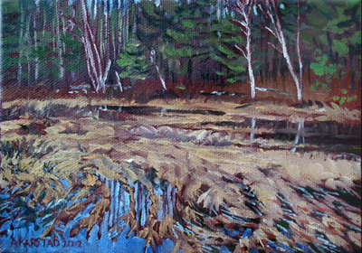 08 - Pond at Pine River (original oil painting, 5 x 7 in, framed)