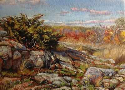 18 - High Country Juniper (original oil painting, 5 x 7 in, framed)