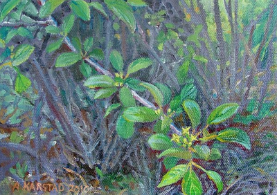 15 - Buckthorn in Bloom 2010 (5 x 7 in. Oil on canvas, framed)