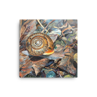 Neohelix Snail, oil painting, print on canvas 12x12 in.