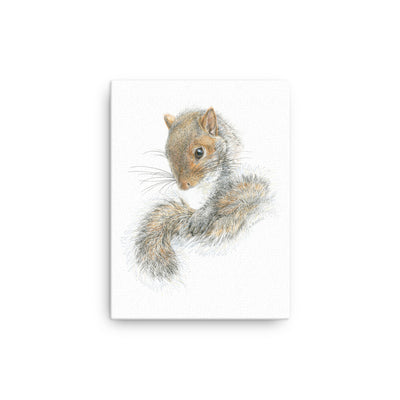 Western Gray Squirrel watercolour, art print on canvas 12 x 16 in.